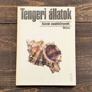 ハンガリーの古い海洋動物の図鑑(Tengeri allatok 1979年)/アンティーク ヴィンテージ ヨーロッパ 貝 カニ クラゲ イソギンチャク タコ/