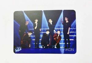 iKON 香港公式yesカード 46 トレカ