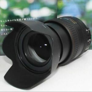 Nikon AF-S NIKKOR 16-80mm f2.8-4E DX VR