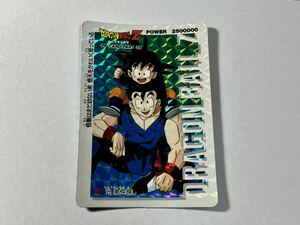 ドラゴンボール カードダス アマダPPカード パート25 No.1087 カードタイプ 擬似角 or18