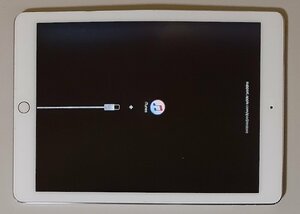 4648 ジャンク Apple iPad Air2 シルバー 9.7インチ 復元NG 画面表示不良 ストレージ容量不明 WiFiモデル A1566 部品取りなどに