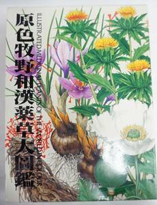 k1785　原色牧野和漢薬草大図鑑 大型本 植物 薬草 漢方薬 北隆館