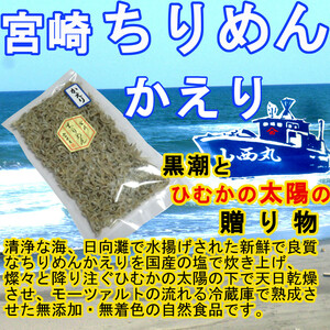 「宮崎ちりめん」かえり 100g×1袋 黒潮と日向の太陽の贈物 カルシウムの補給源 ちりめんじゃこ 山西水産 天日干し ご飯のお供 トッピング