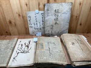 明治43-44年の植物標本 約95種/北大予科/北海タイムス・萬朝報・東京朝日新聞/併合されたる朝鮮/北海道大学　YDB1011