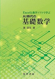 [A12278072]Excelと数学ソフトで学ぶAI時代の基礎数学