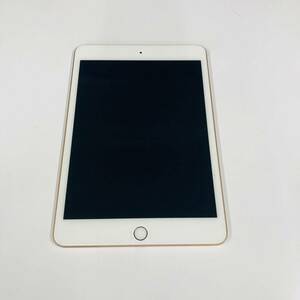 【ジャンク】　iPad mini5 Wi-Fi 64GB(ゴールド)MUQY2 J/A