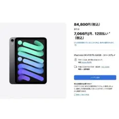 最安値 Apple iPad mini スペースグレイ