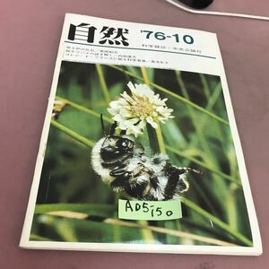 A05-150 自然 10月号 第31巻第10号 原子炉の化石 中央公論社 折れ線あり