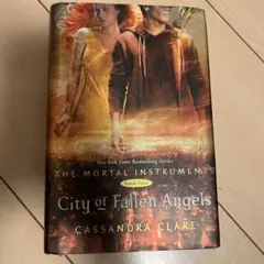 City of Fallen Angels-Cassandra Clare
