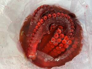 お歳暮) ビックリ極太 酢ダコ 約２０kg 北海道産 酢蛸 スダコ すだこ 酢だこ たこ タコ