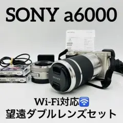 SONY a6000 ILCE-6000 ダブルレンズセット