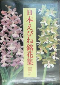 日本えびね銘花集　全国の栽培法付　監修 三枝敏郎　月刊さつき研究　1982年 YB230830S2