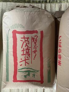 好評 令和５年産　茨城水郷コシヒカリ　玄米30ｋ　冷蔵庫保管④