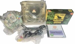 稀少品　ドリームキャスト　本体 シーマン　スケルトン　動作品　Dreamcast