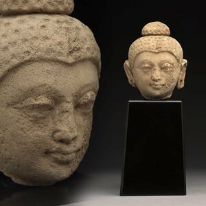 CU401 ガンダーラ美術 砂岩「仏頭/佛頭部」台付 高27cm 重さ543g 木箱附 ストゥッコ 紀元2世紀-3世紀 仏教美術