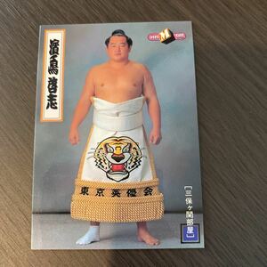 ９８BBM　５１　浜ノ嶋　啓志　大相撲カード