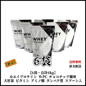 【新品・6袋・6kg】ホエイプロテイン WPC チョコチップ風味 スプーン入り ダイエット アミノ酸 タンパク質 ビタミン 筋トレ トレーニング