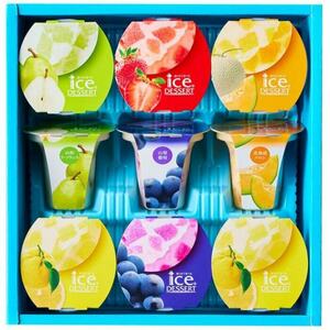 【ギフト包装可】凍らせて食べるアイスデザート 9号 洋菓子 セット アイスクリーム IDE-20 中島大祥堂 