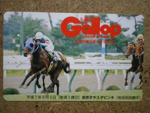 I1122・Gallop　タヤスダビンチ　競馬　抽プレ　テレカ