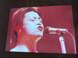◎甲斐よしひろ　A4ピンナップ　19　 YOSHIHIRO KAI 「SINGER」 21st anniversary special event 1994-1995　甲斐バンド