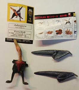 チョコラザウルス　第１シリーズ　012　アンハングェラ　恐竜　古代動物　UHA味覚糖