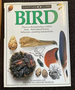 「EYEWITTNESS GUIDES BIRD」Dorling kindersley in THE NATURAL HISTORY MUSEUM LONDON
