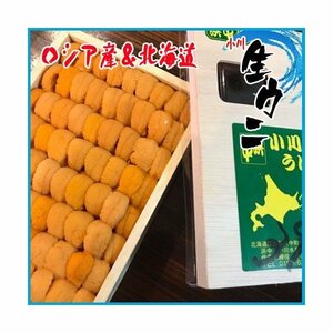 買い得　【大好評】生ウニ 小川のうに 約220~250g(一粒 約4cm-5cm) ３p