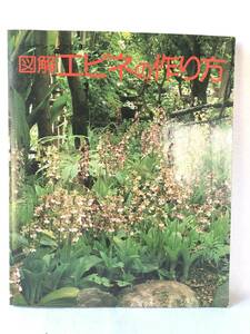 図解エビネの作り方 島田昭秋編集 誠文堂新光社 昭和55年発行 エビネの知識・入手法・栽培法・増殖法・エビネ関係資料 A01-01M