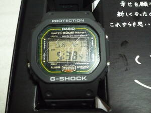 カシオ CASIO G-SHOCK Gショック DW-5600 901 200M スピード SPEED レストア品