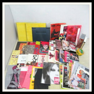 ▼hide グッズセット 販促品 POP/追悼 hide HISTORY OF PHOTOGRAPHY/VHS/パンフ/ビニールテープ/ステッカー/他★ヒデ【S2【R2024-04-05-069