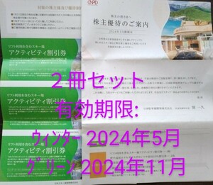 日本駐車場開発(株) 株主優待券×２冊(紙チケットのみ)