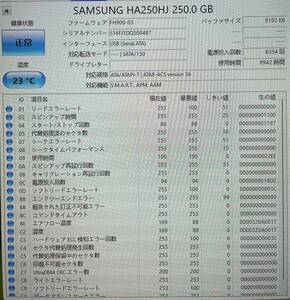 （H6） SAMSUNG HA250HJ 250GB　ハードディスク