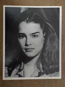 ブルック・シールズ モノクロ写真 シート ミニポスター 1960～70年代頃 当時物 ビンテージ 俳優 雑貨