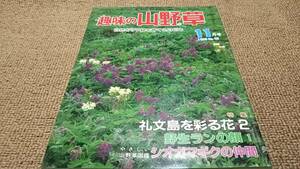 k3■趣味の山野草1983年１１月礼文島を彩る花、野生ランの顔、シオガマギクの仲間