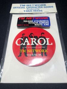 TM NETWORK CAROL -A DAY IN A GIRL