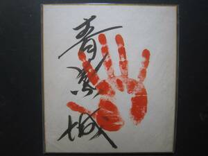 大相撲　青葉城　関脇　手形　サイン　72