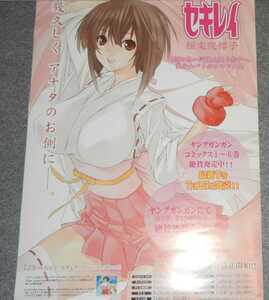 ◆ポスター◆セキレイ　極楽院櫻子