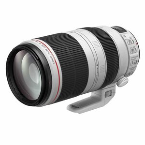 Canon 望遠ズームレンズ EF100-400mm F4.5-5.6L IS II USM フルサイズ対応 (中古品)