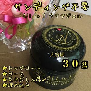 【送料込み】オールインワンクリアジェル 30g＊サンディング不要