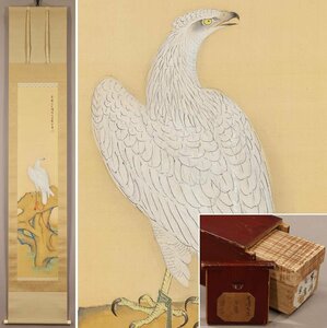 【真作】◆西山翠嶂◆白鷹◆共箱◆二重箱◆肉筆◆絹本◆京都◆掛軸◆t715