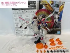 RG 機動武闘伝Gガンダム ゴッドガンダム＋拡張セット