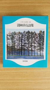 日本の詩集・１８　清岡卓行詩集　角川書店　カラー版