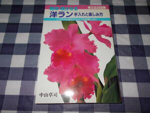 【書籍】　図解・早わかり 毎年咲かせる洋ラン 手入れと楽しみ方―こうすれば初めての人でも失敗しない　中山 草司