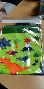 恐竜柄 dinosaurs マチ付き巾着袋 新品・未開封・即決 グリーン キョウリュウ 