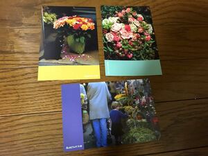 花とみどりのギフトカード3枚