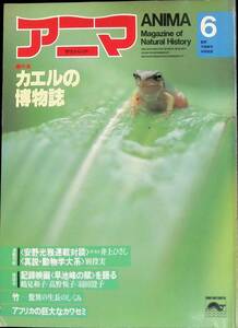 アニマ　1982年6月号　No.111　カエルの博物誌　記録映画 早池峰の賦 を語る　竹　アフリカの巨大なカワセミ　平凡社　YB230508M1