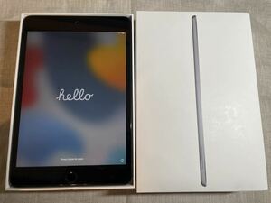 Apple iPad mini 5 Wi-Fiモデル64GB スペースグレイ 美品 