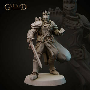 Galaad Miniatures Gaa-230201 KingArmor1 3Dプリント D＆D メタルミニチュア メタルフィギュア TRPG フロストグレイブ