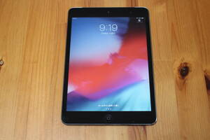 Docomo ipad mini2 iPad mini 2 Wi-Fi+Cellular 64GB