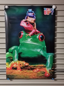 【新品 アウトレット】ポスター 5 Frogs Color★カエル 爬虫類 映画 MOVIE インテリア 広告